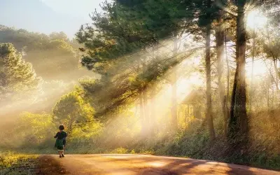 Mùa đông sương mù Gia Lai đẹp huyền ảo như mơ