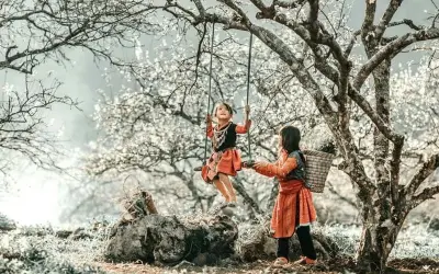Mai Châu mùa đông ẩn hiện trong làn sương mù dày đặc