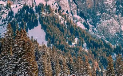 Mùa đông tuyết rơi Alps Thụy Sĩ đẹp như cổ tích