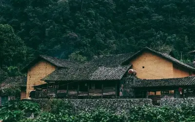 Ảnh mùa hoa cải trắng Hà Giang đẹp dịu dàng cuốn hút