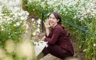 Vẻ đẹp mùa hoa cúc họa mi Tuyên Quang tinh khôi