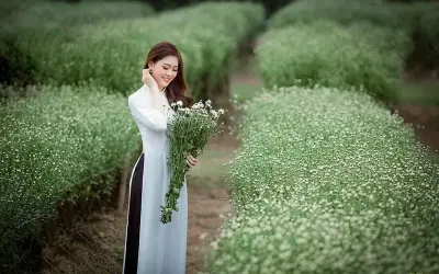 Săn ảnh mùa cúc họa mi trắng trời Yên Bái