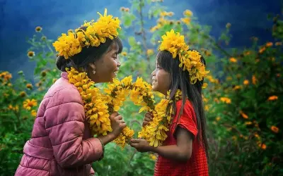 Ngắm mùa hoa dã quỳ Gia Lai vàng rực giữa núi đồi