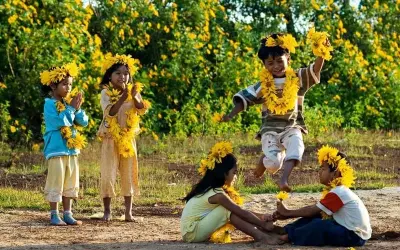 Khám phá mùa hoa dã quỳ Kon Tum vàng rực rỡ mê hoặc