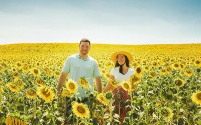 Mùa hoa hướng dương Argentina rực rỡ thu hút du khách