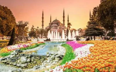 Ngắm mùa hoa tulip Thổ Nhĩ Kỳ rực rỡ sắc màu tự nhiên