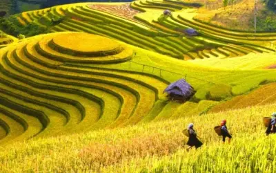 Khám phá biển Quy Nhơn mùa hè đầy quyến rũ và thơ mộng