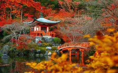 Mùa thu lá đỏ Kyoto Nhật Bản - Cảnh sắc mê hoặc lòng người
