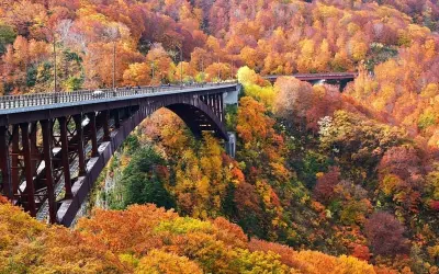 Mùa thu lá đỏ Quebec Canada đẹp rực rỡ mê hồn du khách