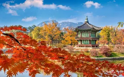 Trải nghiệm mùa thu lá đỏ Seoul Hàn Quốc rực rỡ sắc màu