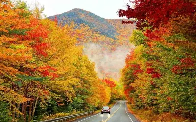 Thưởng ngoạn mùa thu lá vàng New England Mỹ lãng mạn