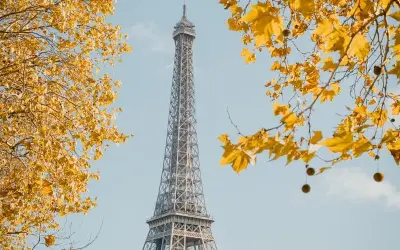 Mùa thu lá vàng Paris Pháp đẹp lãng mạn như tranh vẽ