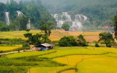 Mùa thu lúa chín Bắc Kạn vàng ươm rực rỡ núi rừng