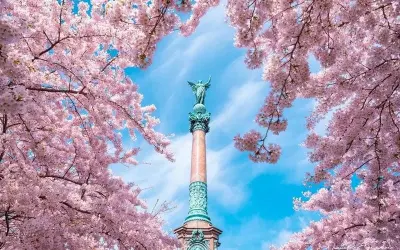 Ngắm mùa xuân hoa anh đào Tây Ban Nha đẹp như tranh vẽ