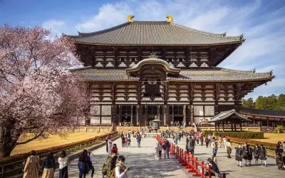 Nara – Thành phố cổ kính và thiên nhiên tuyệt đẹp của Nhật