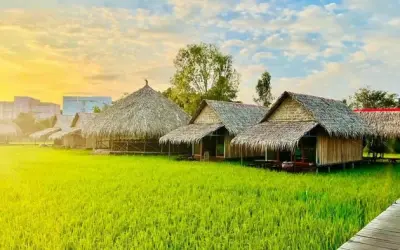 Chiêm ngưỡng ảnh Nhà chòi Đồng Tháp mang đậm hồn quê Việt