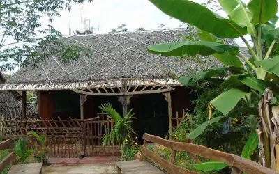 Tổng hợp những ảnh Nhà mái lá Vĩnh Phúc ấn tượng hiện nay