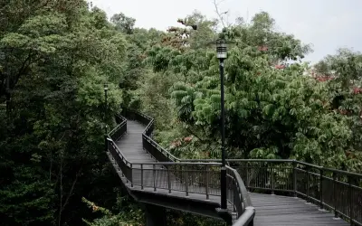 Khám phá Southern Ridges – Cung đường xanh giữa lòng đô thị