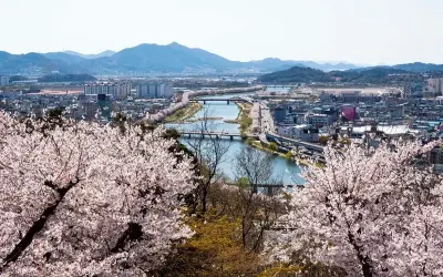 Trải nghiệm Suncheon với vẻ đẹp bình yên và thơ mộng