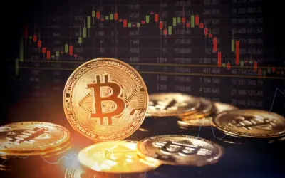 Giá Bitcoin và sự quan tâm của thị trường hiện nay