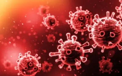 Vi rút kháng thuốc khiến thuốc cũ không còn hiệu quả