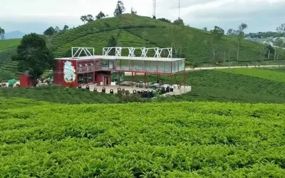 Tham khảo ngay bộ sưu tập ảnh Villa đồi chè Đà Lạt đẹp nhất