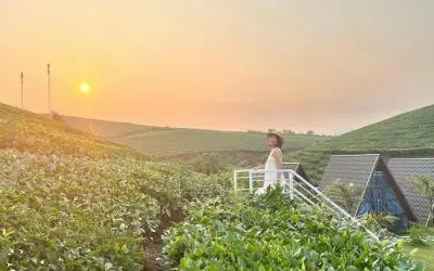 Ảnh Villa đồi chè Mộc Châu đẹp hiện đại giữa đồi xanh mát