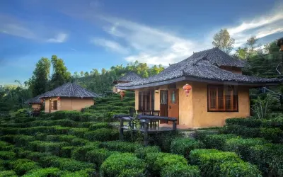 Bộ sưu tập ảnh Villa đồi chè Pleiku hấp dẫn mọi du khách