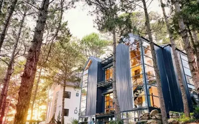 Tuyển chọn ảnh Villa đồi thông Đà Lạt đẹp nhất hiện nay