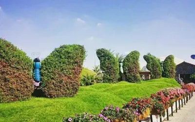 Khám phá Vườn bướm Dubai – Thiên đường sắc màu sa mạc
