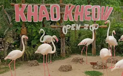 Khám phá thế giới động vật tại Vườn thú Khao Kheow