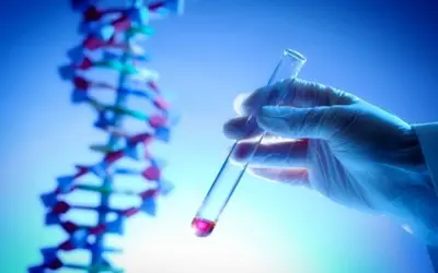 Vai trò của y học cá nhân hóa trong điều trị ung thư