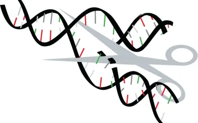 Sự thật gây sốc phía sau công nghệ chỉnh sửa gene hiện đại