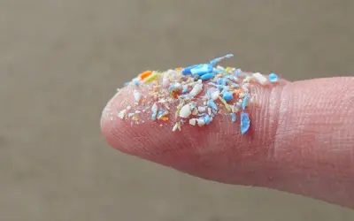 Vi nhựa và sự thật phía sau thói quen sinh hoạt hiện đại