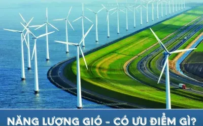 Những ưu điểm nổi bật của năng lượng gió là gì?