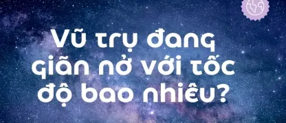 Bài viết liên quan