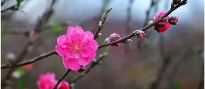 Bài viết liên quan