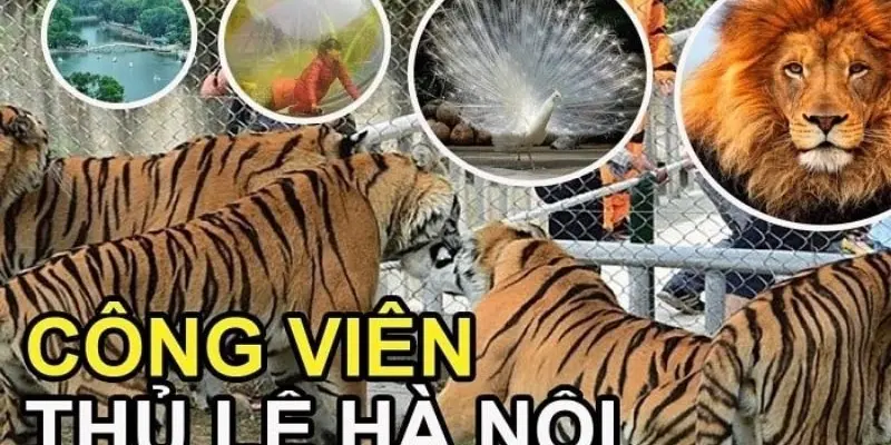 Công viên Thủ Lệ – Thiên đường vui chơi xanh giữa Hà Nội