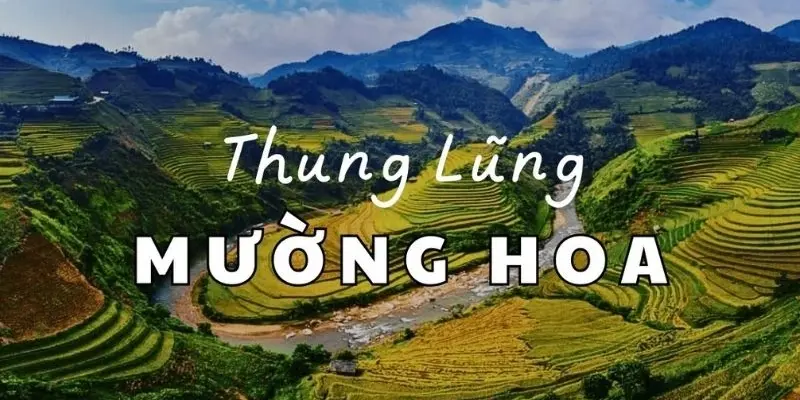 Thung lũng Mường Hoa – Vẻ đẹp hoang sơ giữa núi rừng Sapa