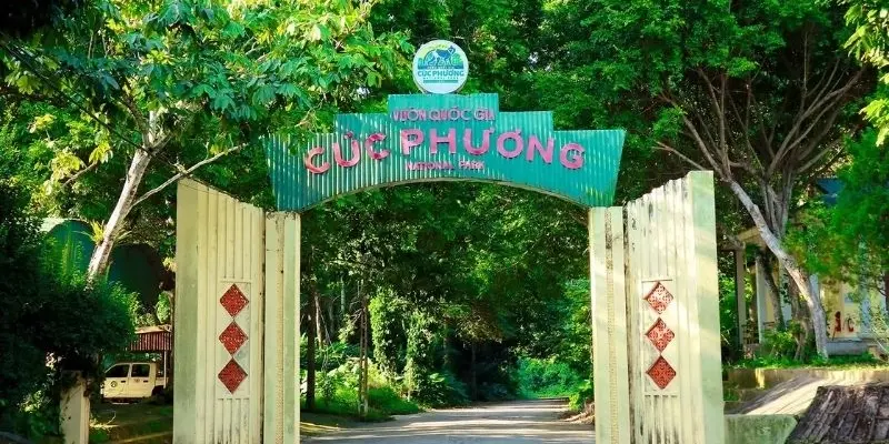 Vườn Quốc gia Cúc Phương - Điểm đến xanh hút hồn du khách