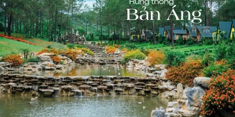 Rừng thông bản Áng – Vẻ đẹp hoang sơ giữa núi rừng Tây Bắc