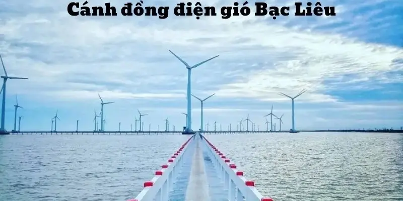 Cánh đồng điện gió Bạc Liêu - Biểu tượng năng lượng sạch