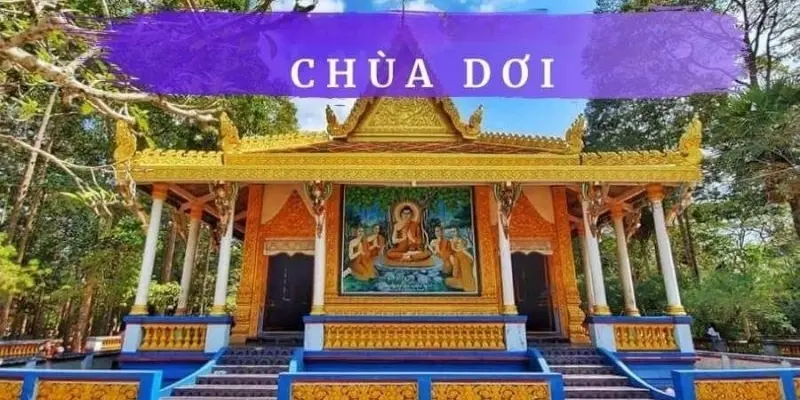 Chùa Dơi Sóc Trăng - Điểm du lịch tâm linh độc đáo miền Tây