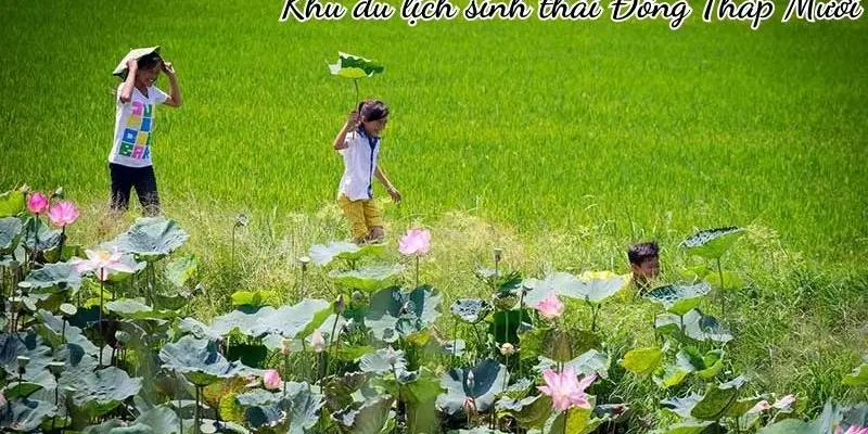 Khu du lịch sinh thái Đồng Tháp Mười vẻ đẹp miền sông nước