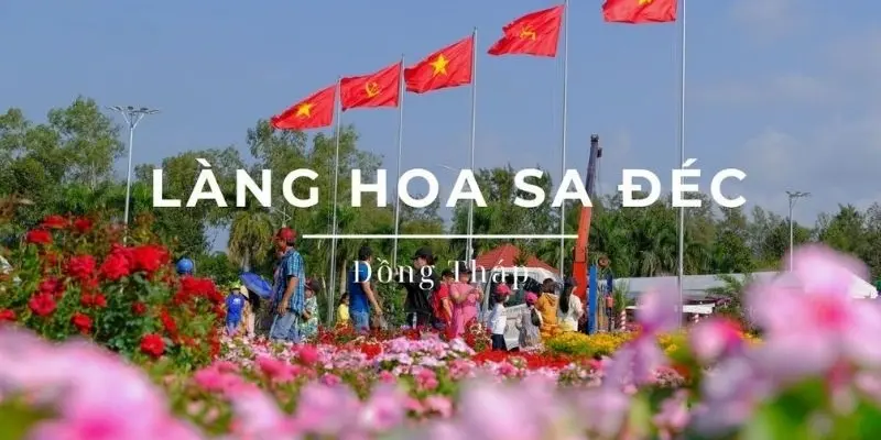Làng hoa Sa Đéc - Nơi hội tụ sắc màu hoa bốn mùa miền Tây