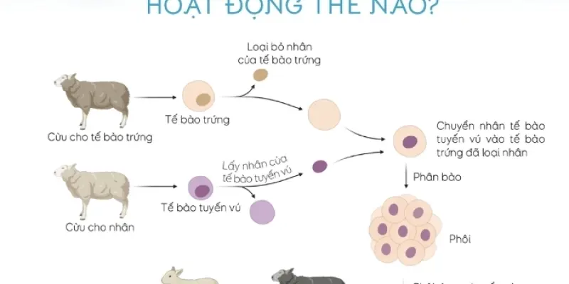 Cloning động vật là gì và hoạt động thế nào?