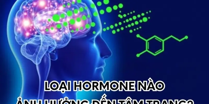 Những hormone nào ảnh hưởng lớn đến tâm trạng con người