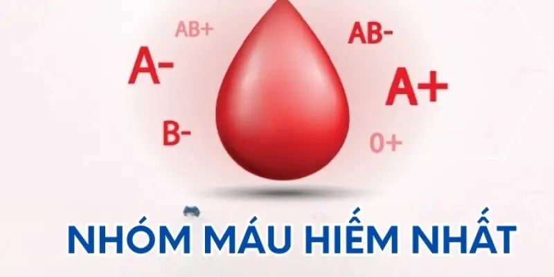 Loại máu hiếm nhất ở người là gì? Giải mã nhóm máu bí ẩn