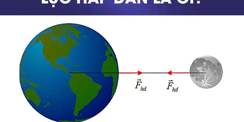 Lực hấp dẫn là gì? Khám phá sức hút vô hình quanh ta!