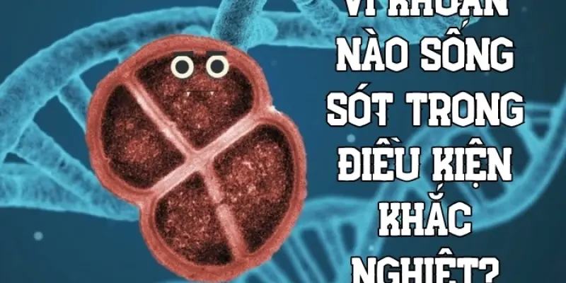 Hé lộ vi khuẩn nào sống sót trong điều kiện cực khắc nghiệt?